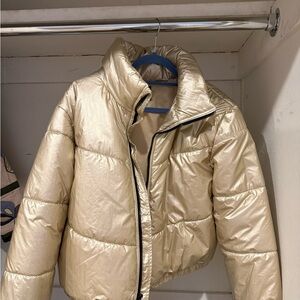 wild fable Metallic Cream Quilted Puffer Jacket